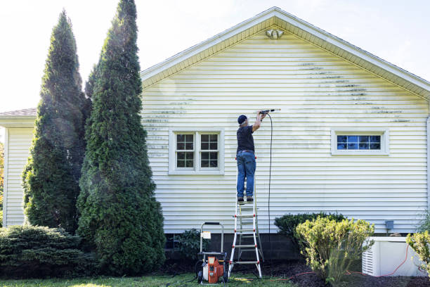 Best Spring Cleaning  in Linden, TX